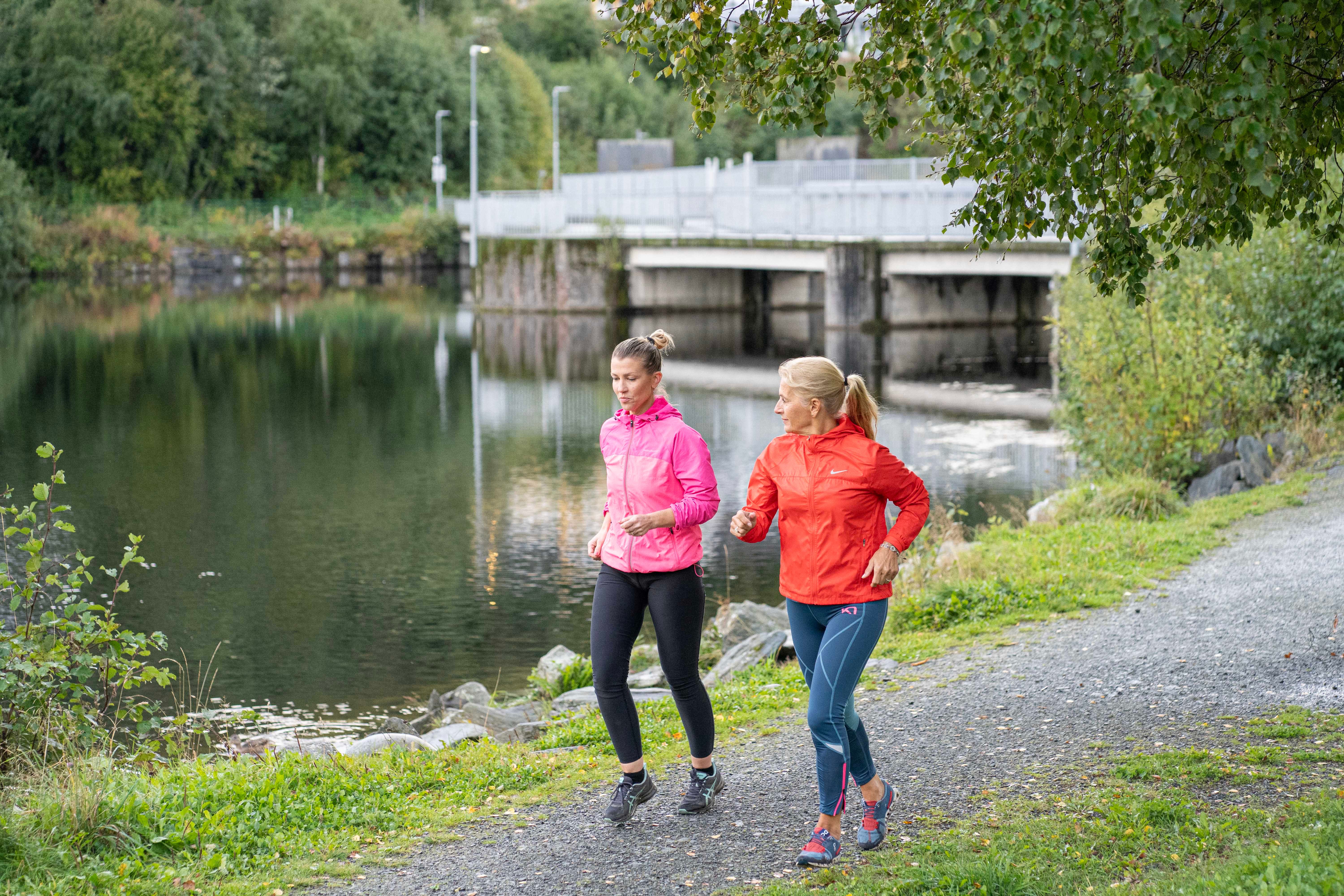 Interval and Strength Training in CAD Patients